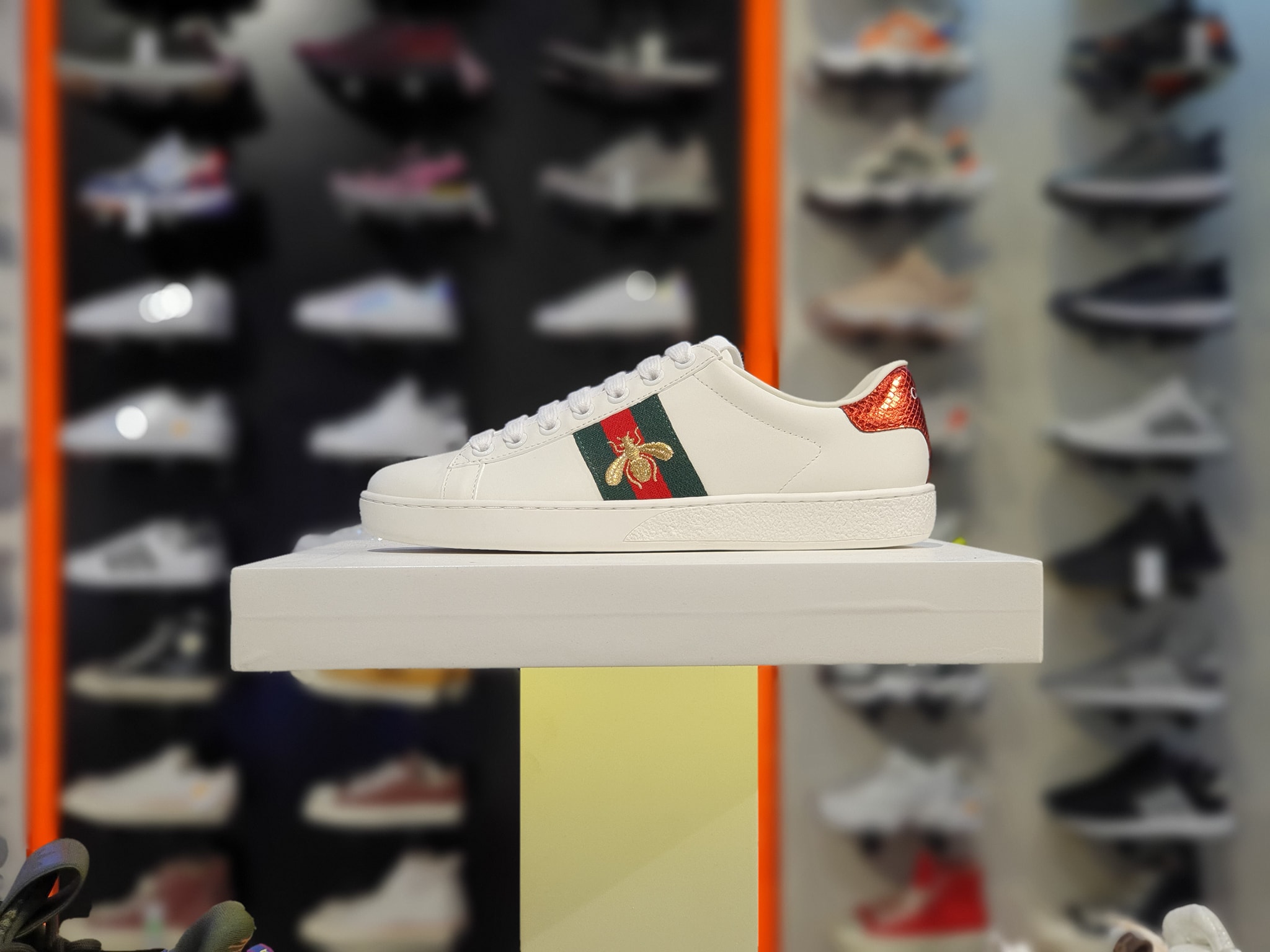 Gucci Ace Bee 1:1